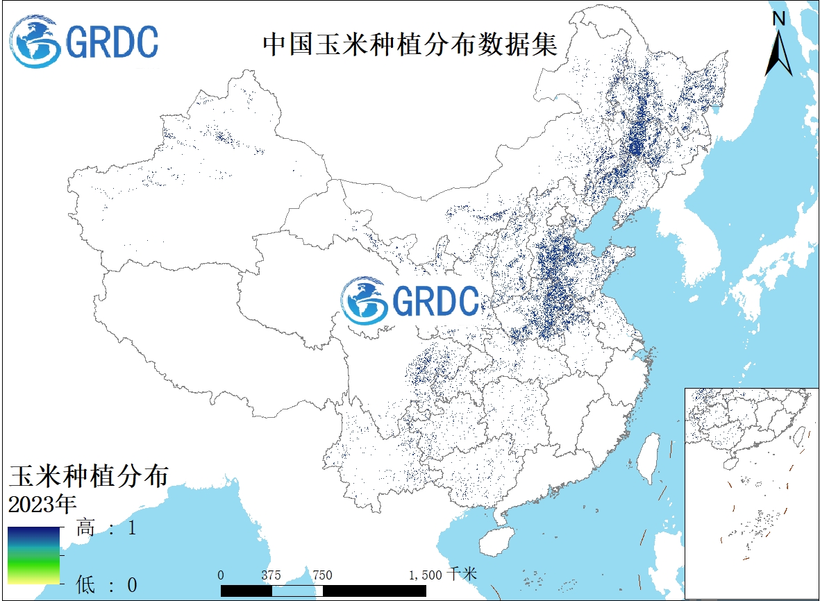 中国玉米种植分布数据集（2001-2023）
