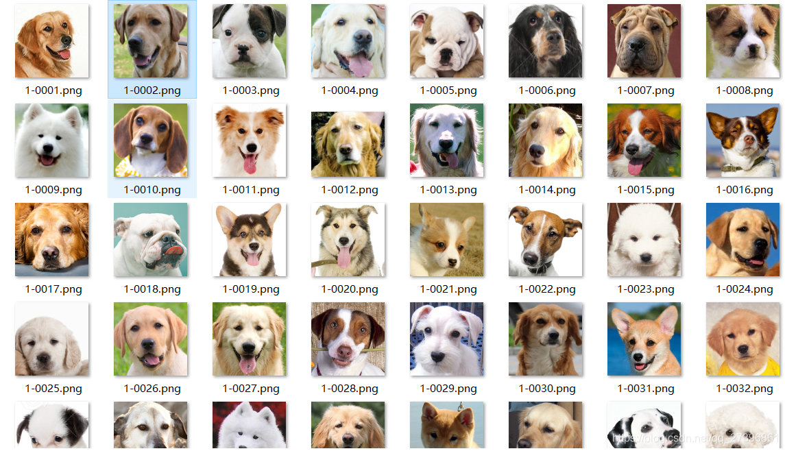 宠物图像分类器