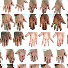 手和手掌图像数据集