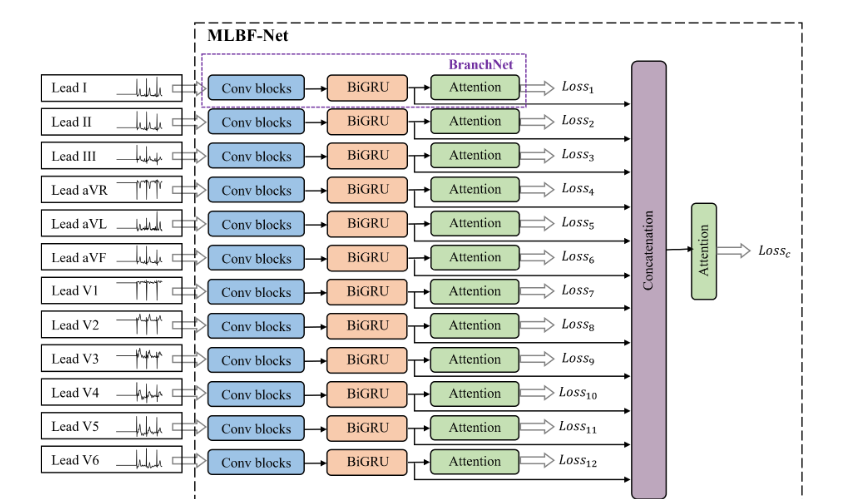 中国12导联心电图挑战数据库
