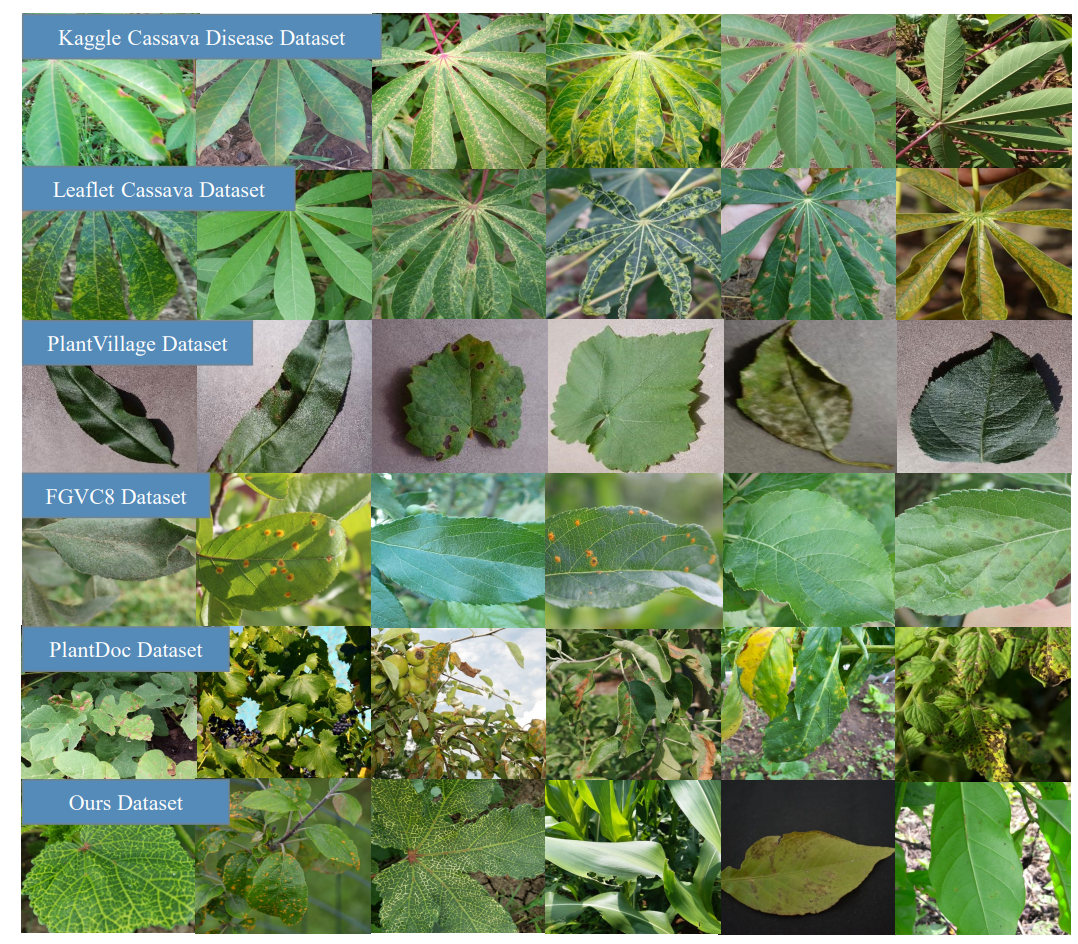 植物病害检测数据集