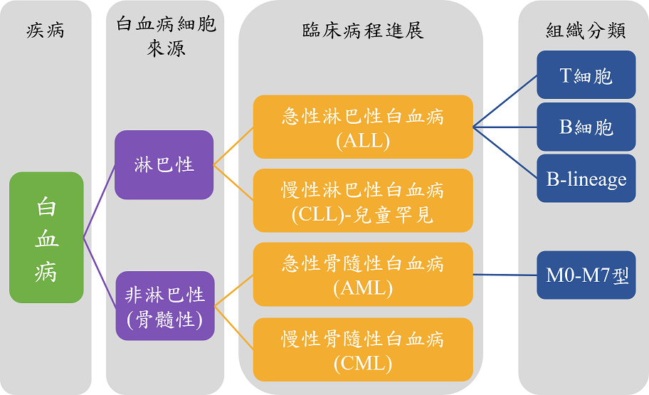白血病分类
