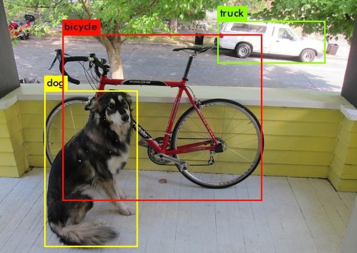 狗视频对象跟踪数据集