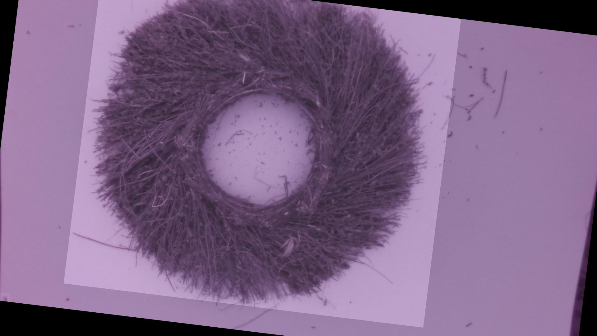 花环检测数据集