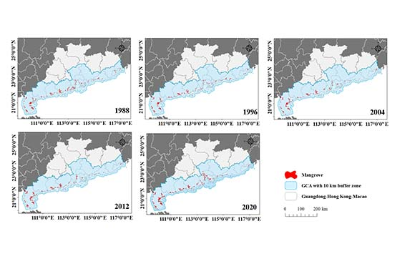 1988-2020年粤港澳沿海地区红树林分布