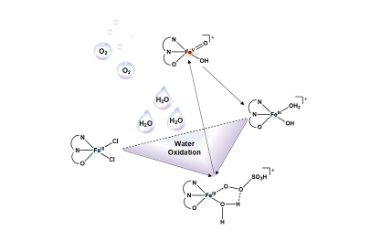 追踪水中氧化的 FeV(O) 中间体