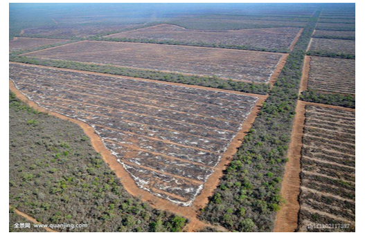 阿根廷1：250万土壤类型分布数据集（1993年）