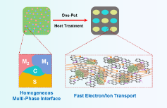 具有增强锂离子存储能力的多金属硫化物碳复合材料的一锅法路线