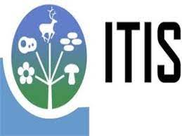 美国地质调查局为国家服务的生物多样性信息