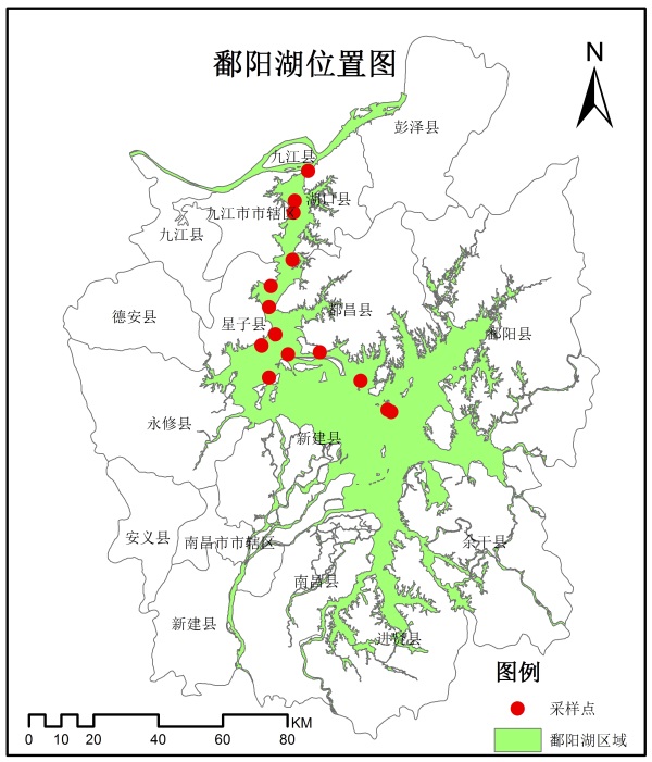 2000-2013年鄱阳湖悬浮固体浓度数据采集反演