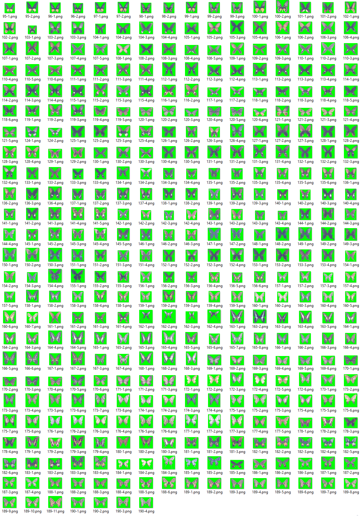 中国凤蝶标本图像特征数据集
