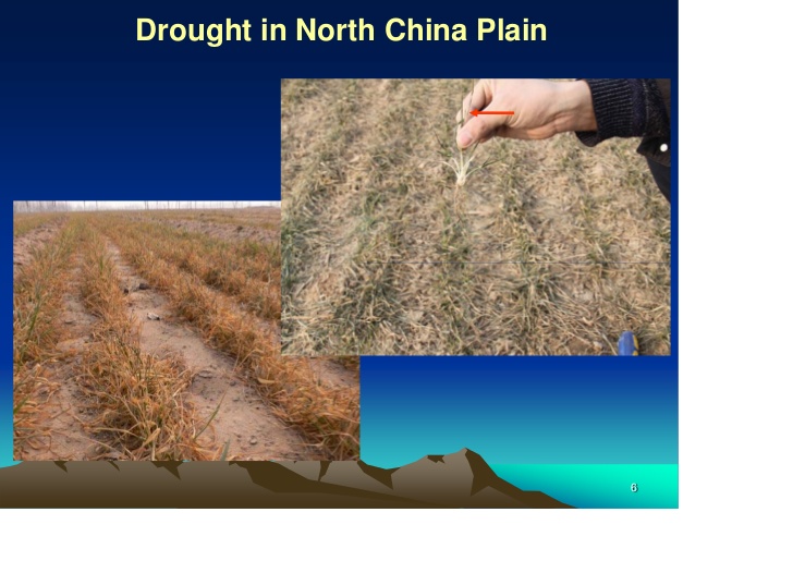 中国重大农业灾害及灾害损失数据集（1949-2015）