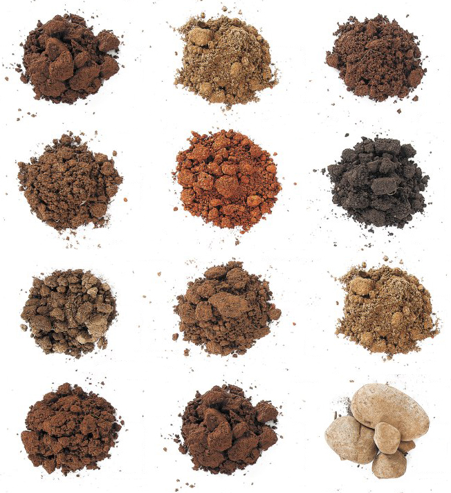 广西土壤物种数据库——基于第二次全国土壤普查