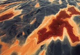 西藏土壤类型数据库——基于第二次全国土壤调查