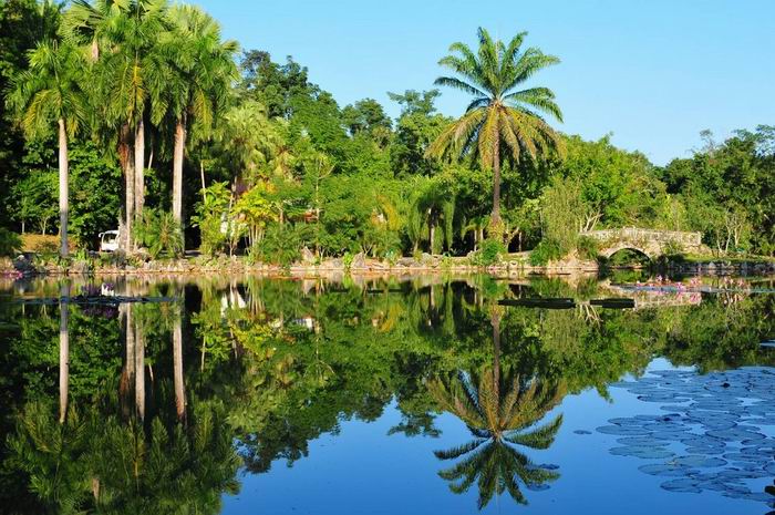 西双版纳原住民传统使用植物数据集