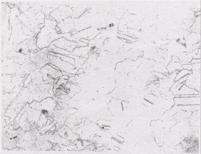 工业案例腐蚀失效分析