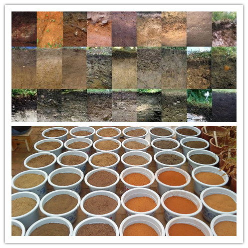 广东省土壤物种数据库——基于第二次全国土壤普查