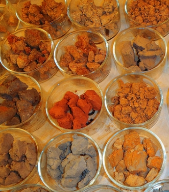 中国土壤样本档案数据集