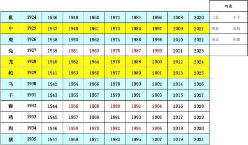 2023年年龄数据集-全球通用