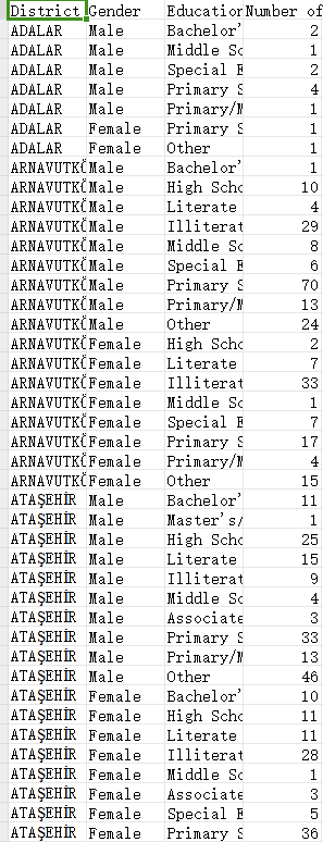 伊斯坦布尔的视障公民