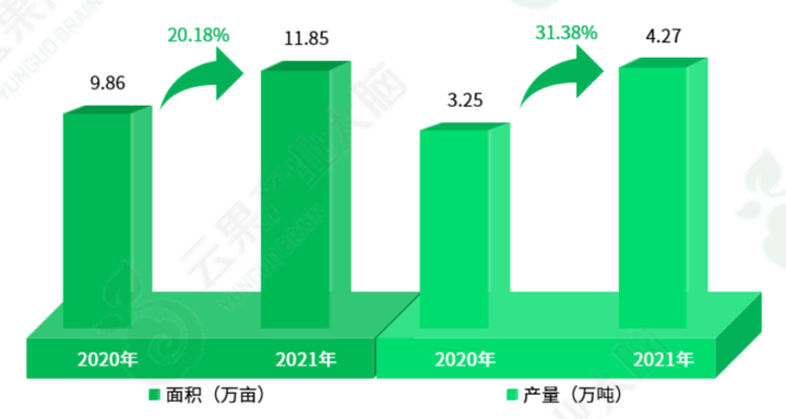野生蓝莓产量预测数据集