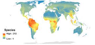 全球物种丰富度和多样性