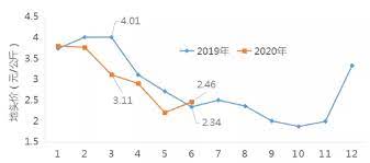 2020 年蔬菜价格 - Covid 时代