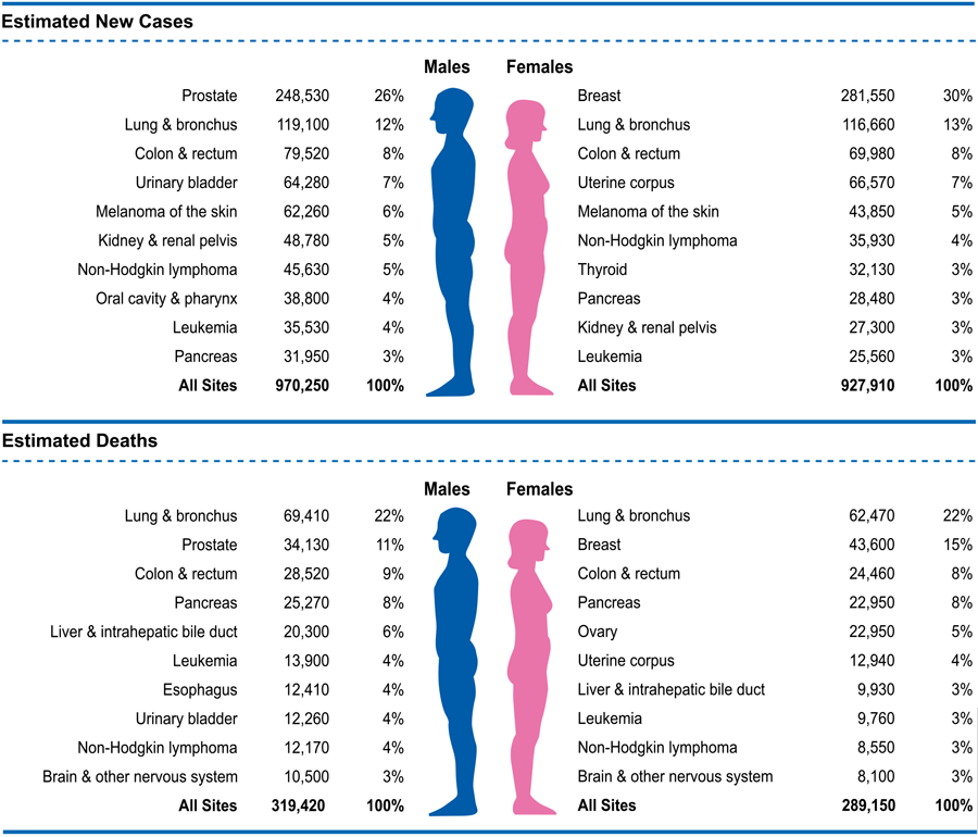 按国家和类型划分的癌症死亡人数（1990-2016）