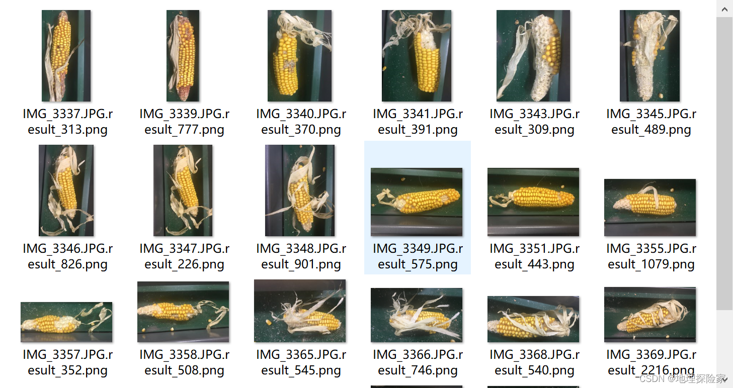用于玉米分类的轻量级数据集