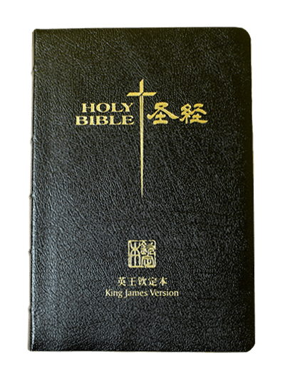 King James Version (KJV) 圣经数据集
