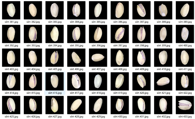 开心果图像数据集