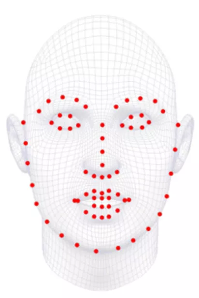面部关键点检测