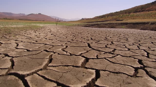 1900-2021 年所有自然灾害 EOSDIS