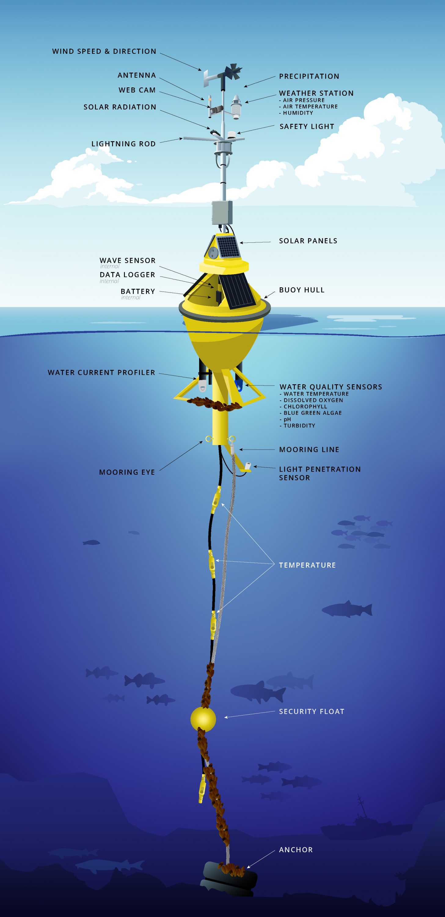 Buoy 的海洋学论坛
