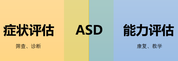 成人自闭症筛查