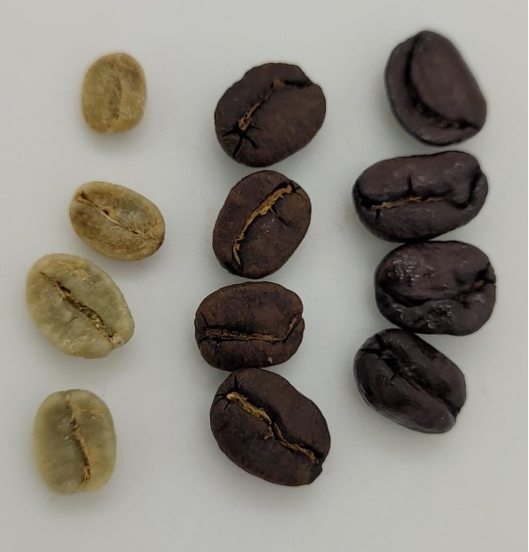 调整大小的咖啡豆数据集