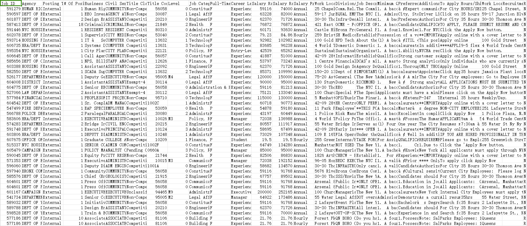 纽约市工作数据集