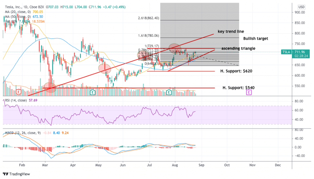 特斯拉股价预测数据集