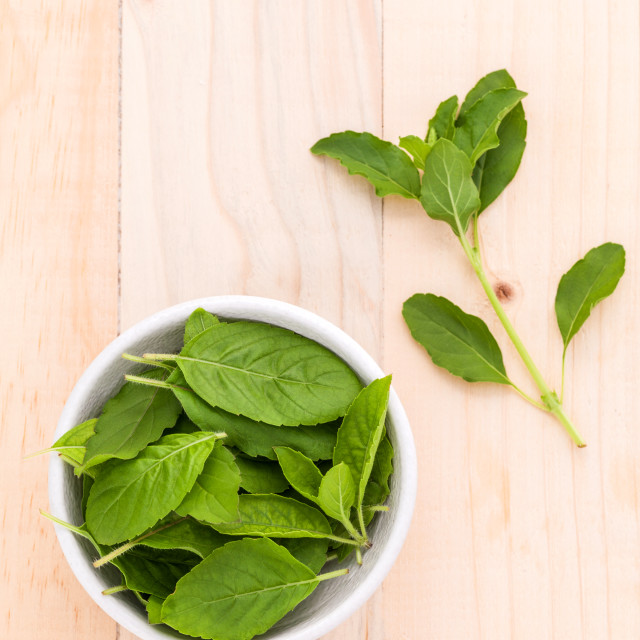 Tulsi 叶训练和测试数据集