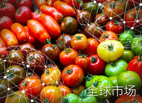 最大的番茄和马铃薯生产商