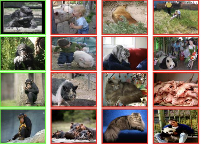 动物图像数据集（90 种不同的动物）