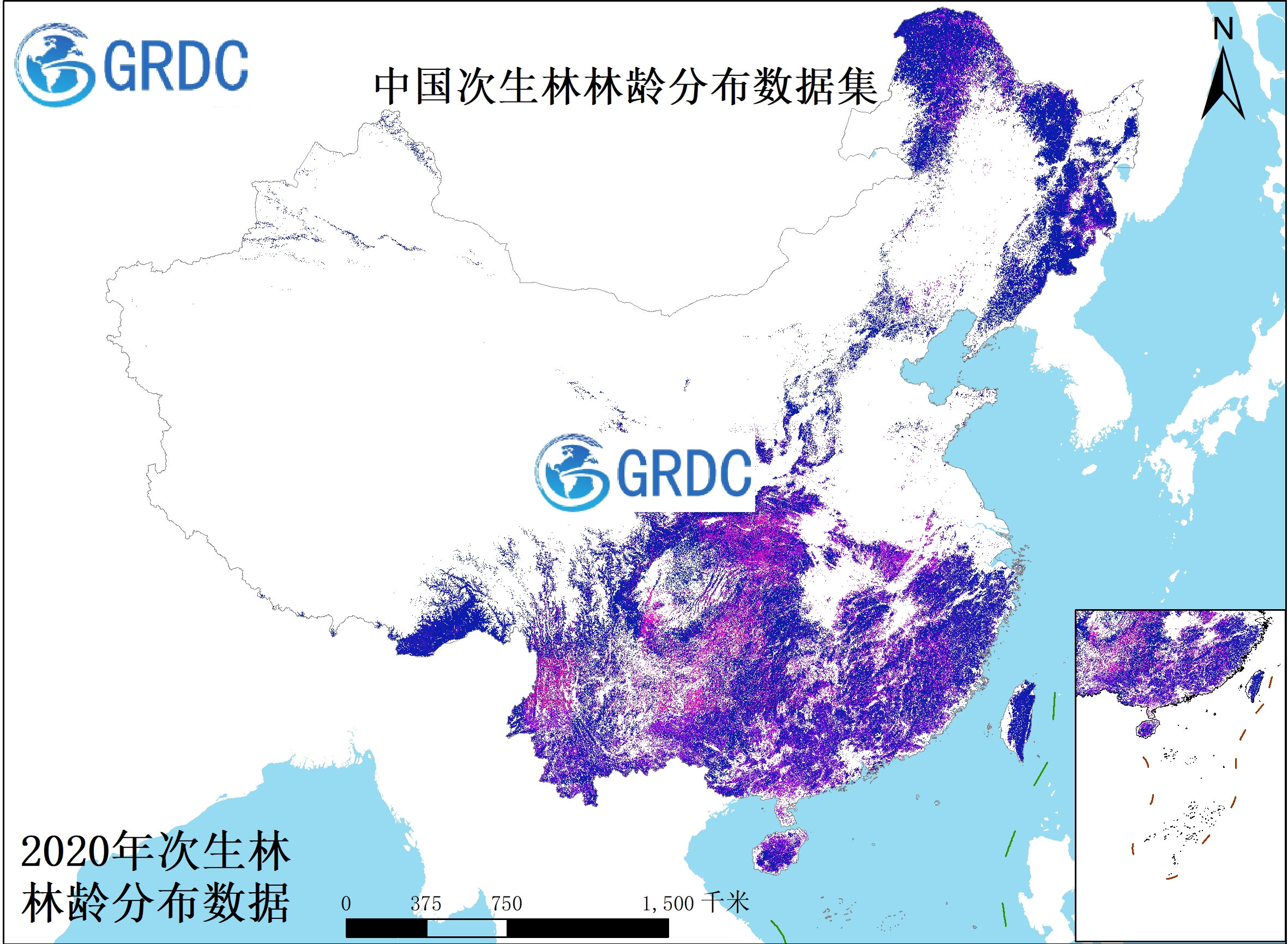 中国次生林林龄分布数据（2020年）