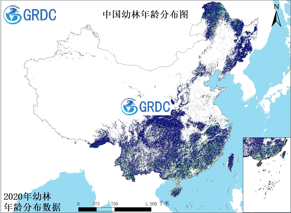 中国幼林年龄分布数据（2020）