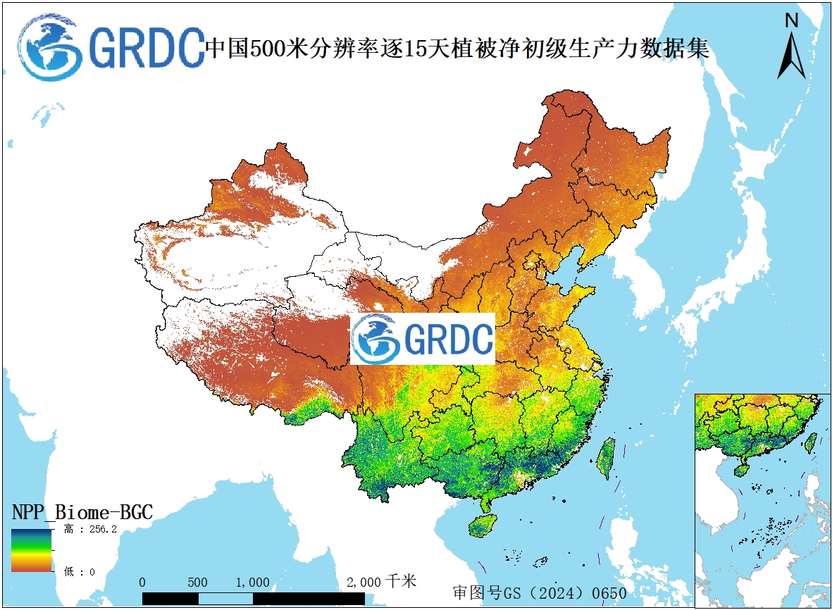 2000-2024年中国逐15天500米分辨率NPP数据集
