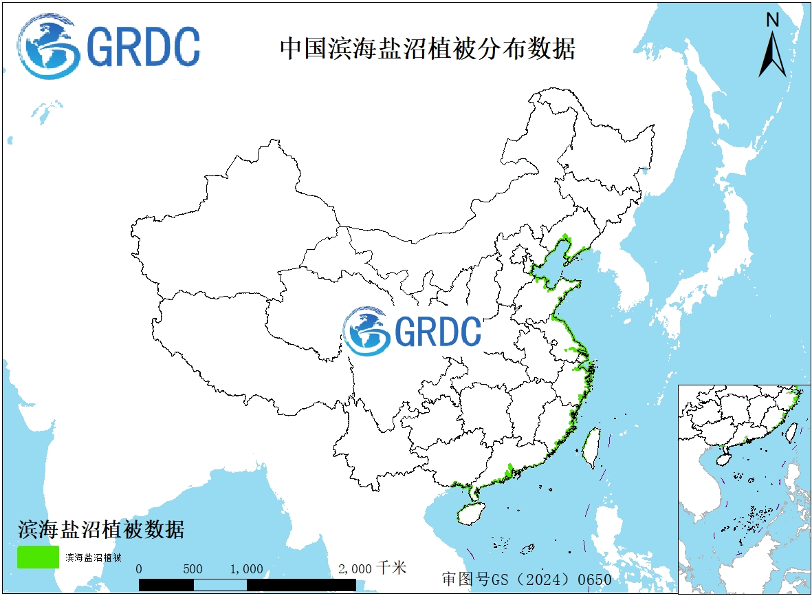 中国滨海盐沼植被分布数据（2020）
