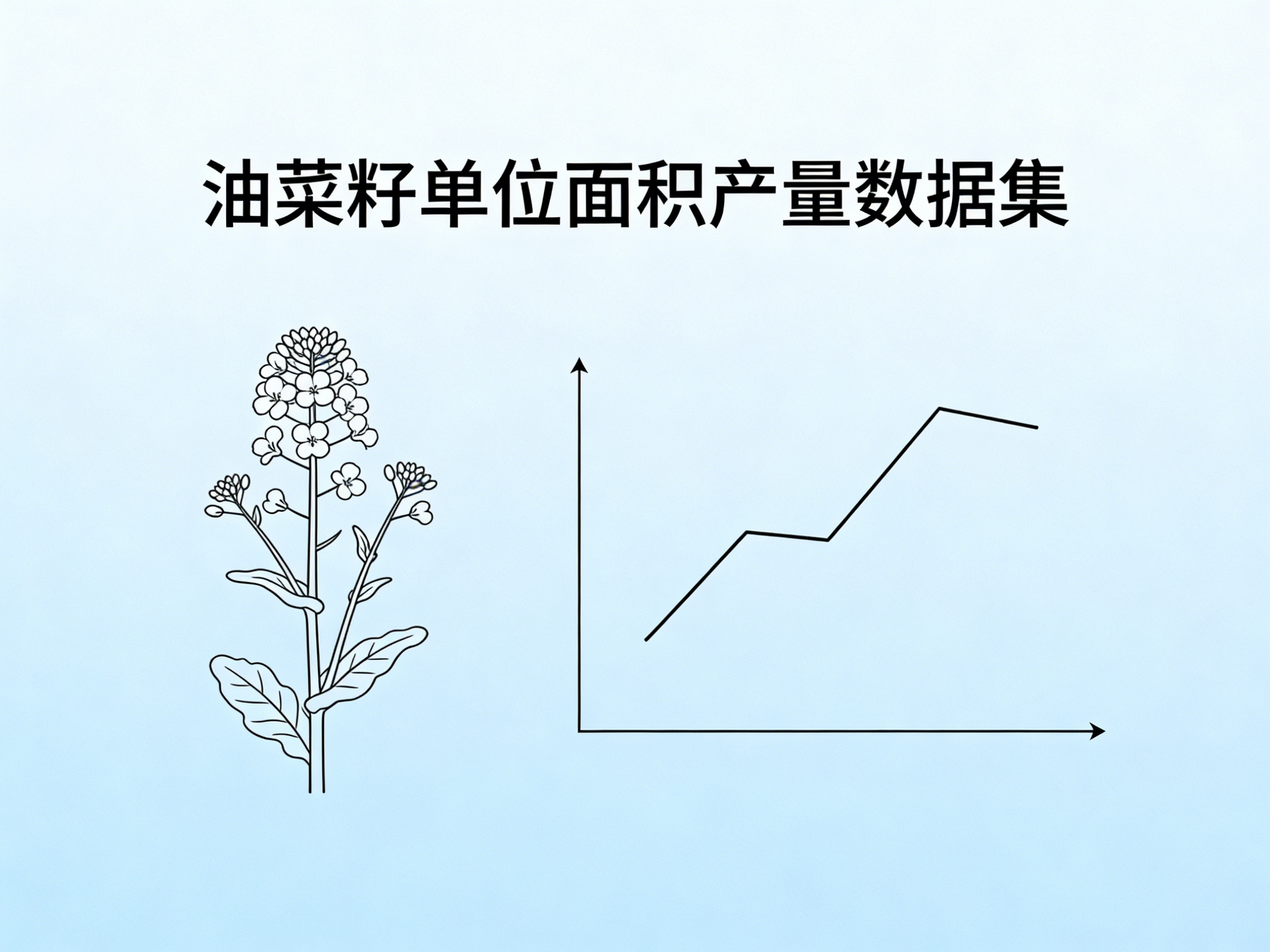 1960年-2024年中国油菜籽单位面积产量数据集