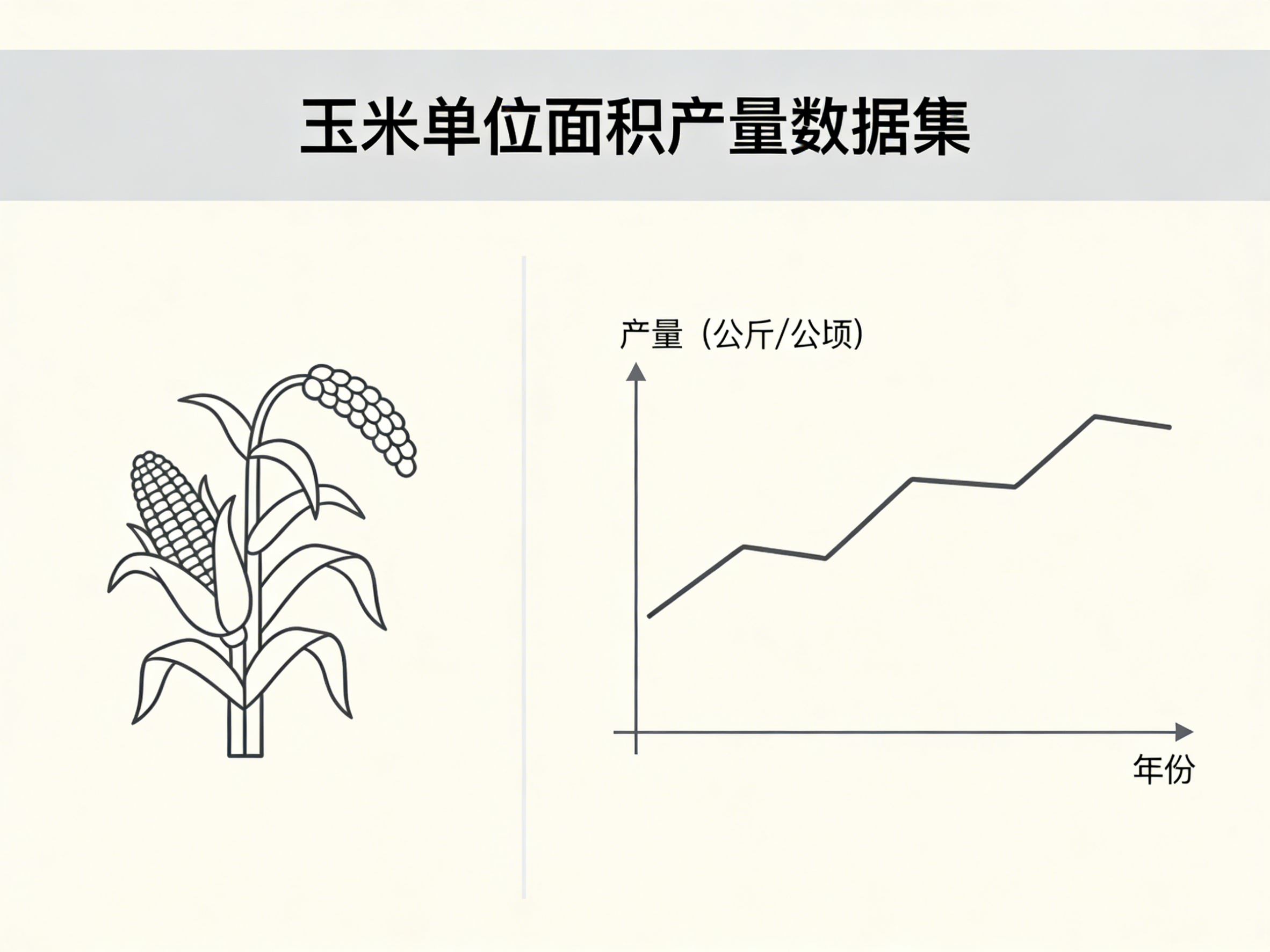 1960年-2022年中国玉米单位面积产量数据集