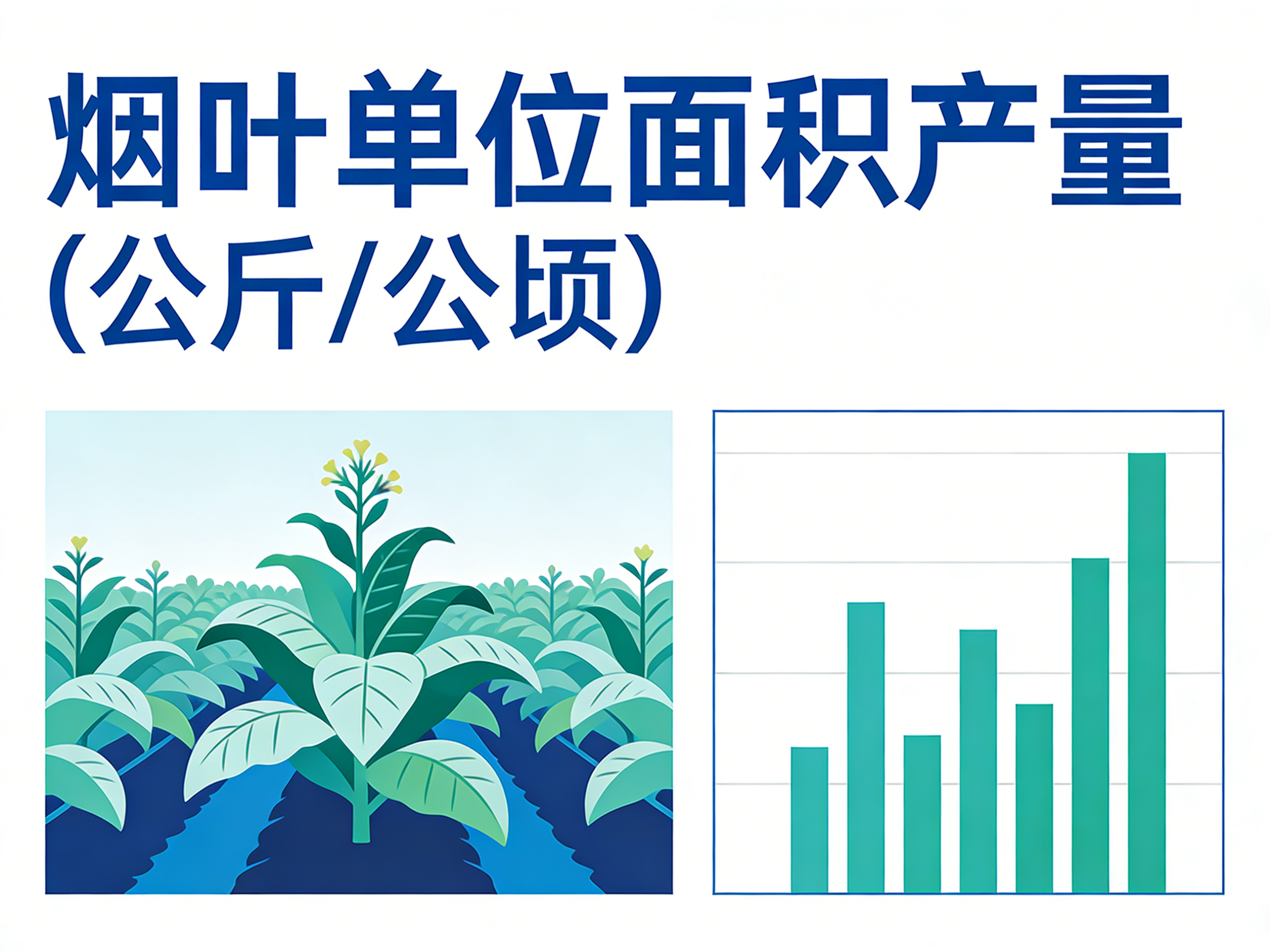 1970年-2022年中国烟叶单位面积产量数据集
