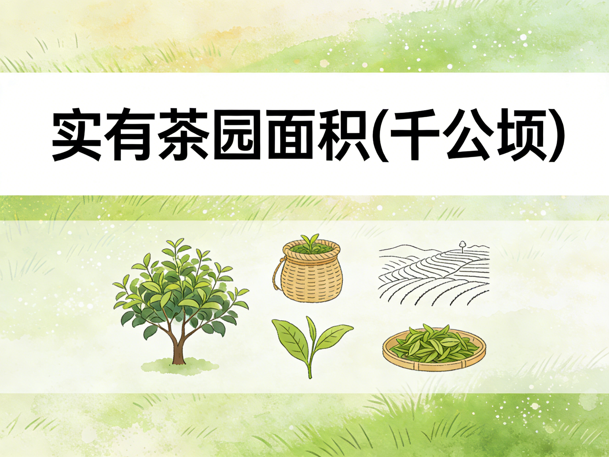 1978年-2024年中国实有茶园面积数据集