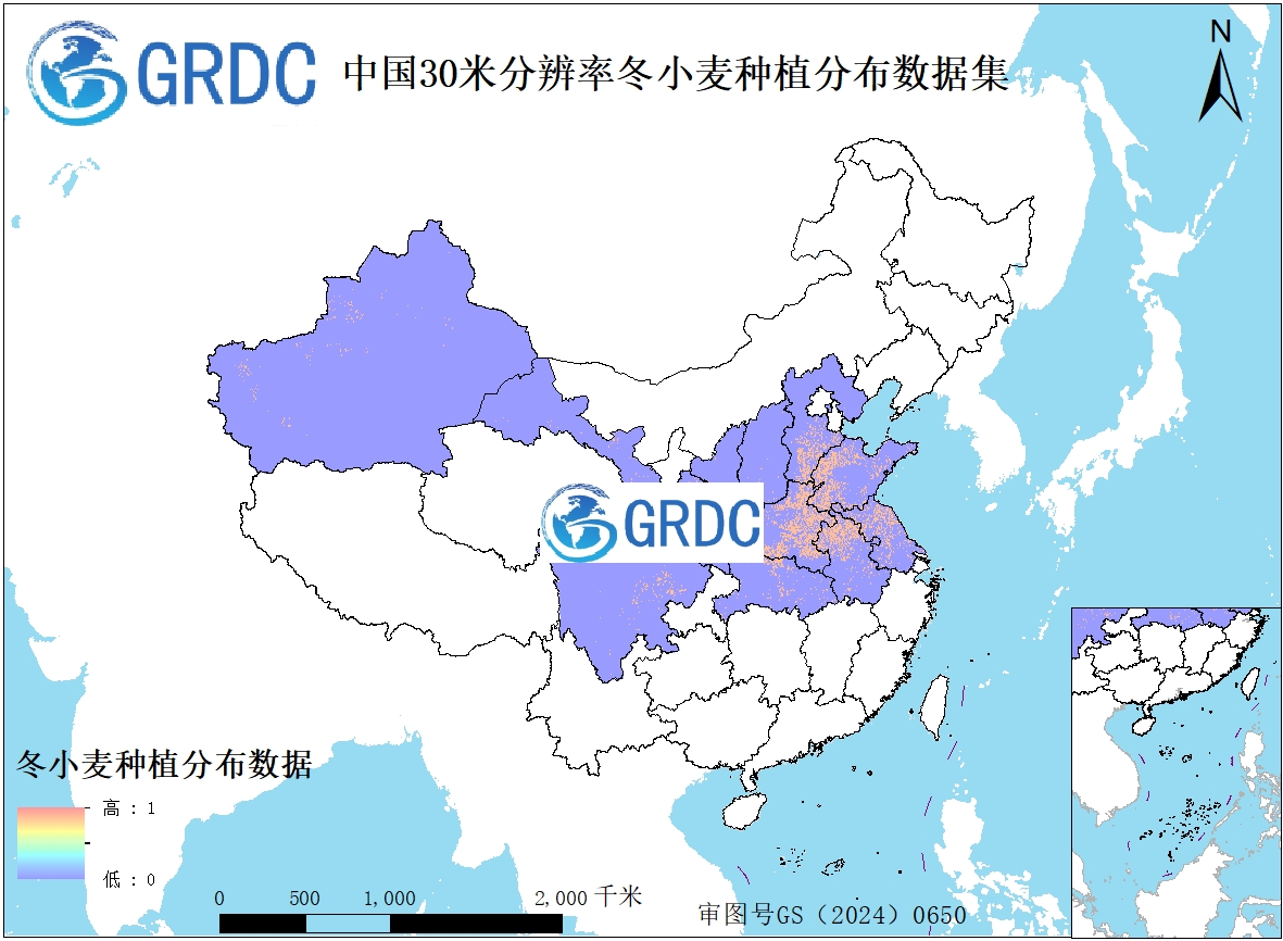 中国冬小麦种植分布数据集（2016-2023）
